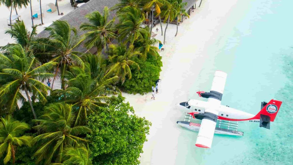 How Much Does A Travel Agent Charge To Book A Flight