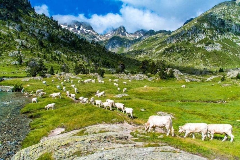 Why The Pyrénées Are A Must-Visit Destination